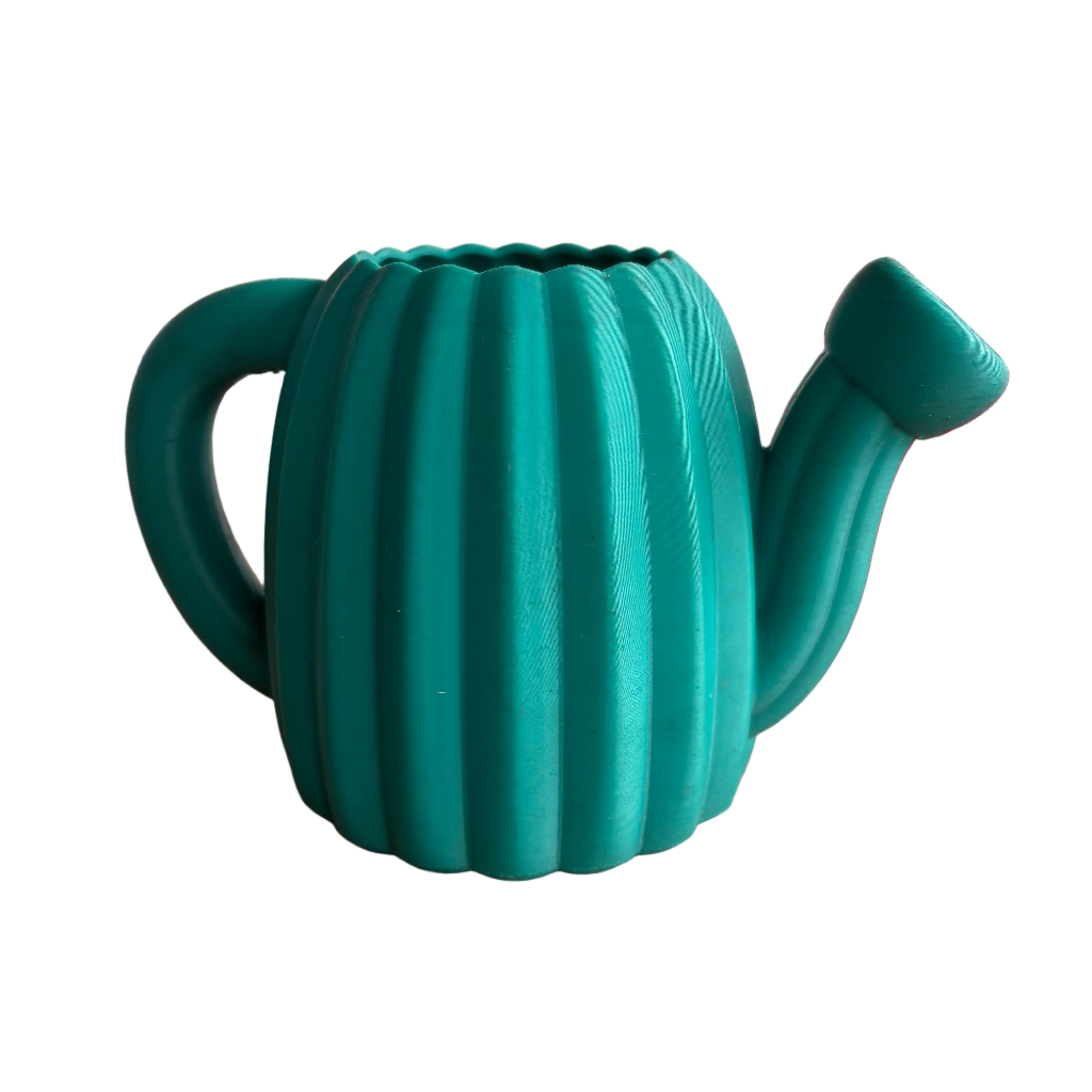 Green cactus inspired watering can 