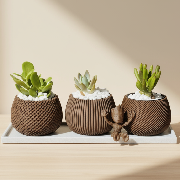 Product background for succulent planters